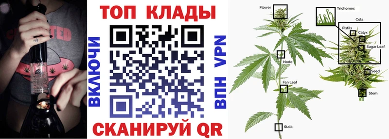 Купить Мостовской Галлюциногенные грибы ГАШ Бошки Шишки Альфа ПВП