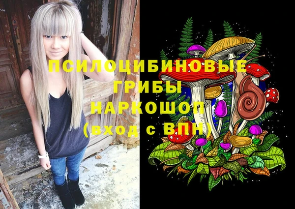 винт Абаза