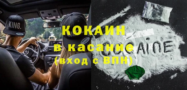 винт Абаза