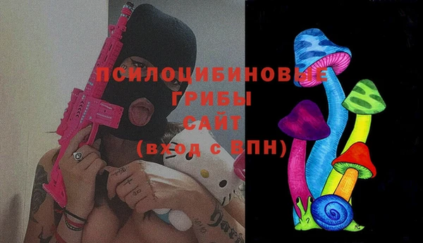 винт Абаза